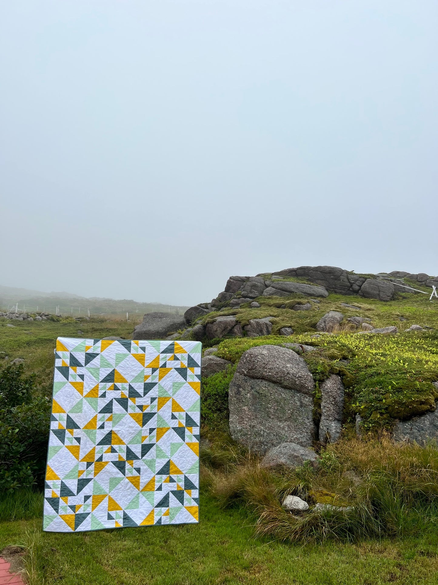 Bird's Hill Quilt
